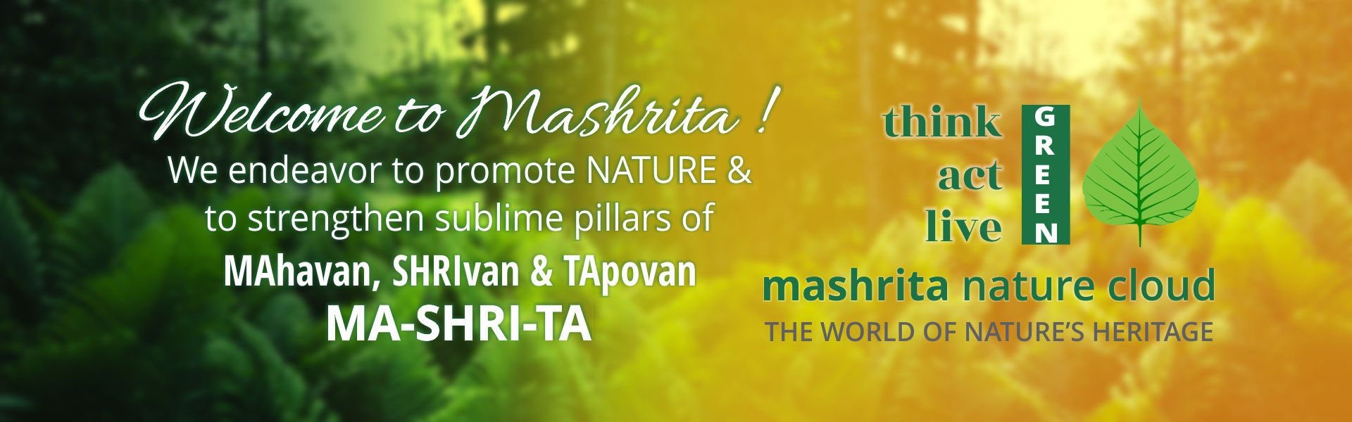 About Mashrita.com