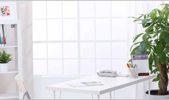 10 Best air purifier plants for office