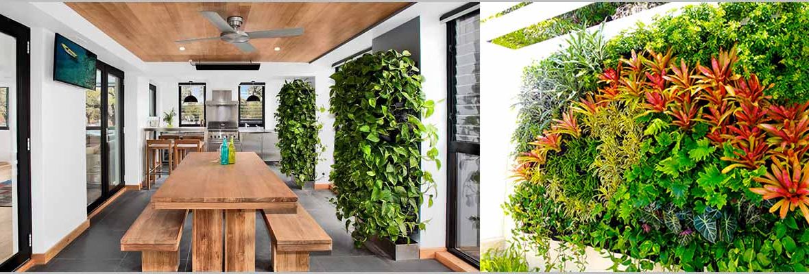 Best Indoor Vertical Garden Plants for Delhi NCR