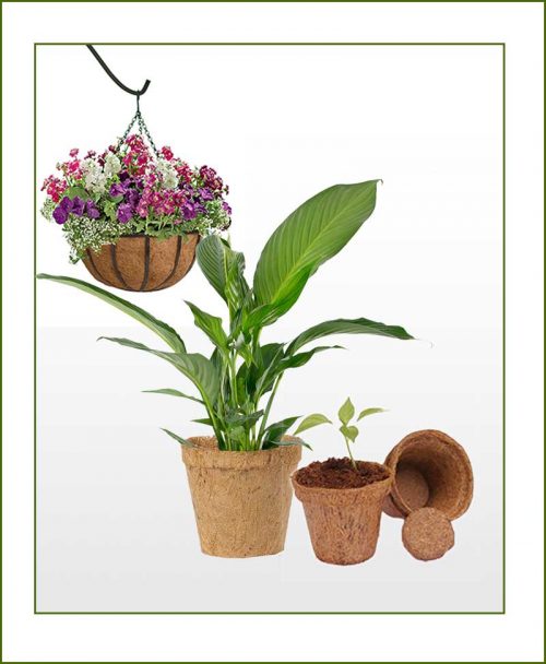 Coir Pots & Planters