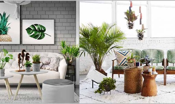 Planning Indoor Plantscaping – Indoor Plantscaping Design Considerations