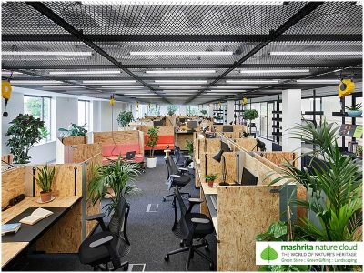 Plantscaping Office
