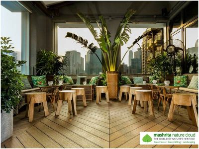 Indoor Plantscaping Waiting Area Restaurant