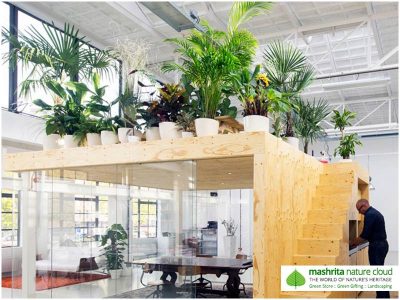 Indoor Plantscaping Caffeteria