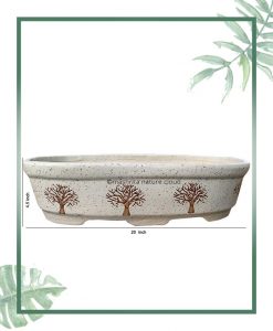 Ceramic Bonsai Tray Planter - White Color Compact Oval Shape 20 inch