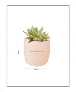 Ceramic Round Succulents Pot Pastel Pink 3 inch
