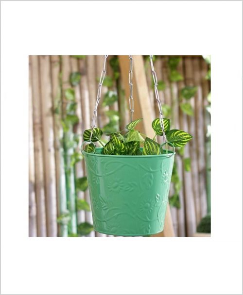 Buy Metal Hanging Bucket Planter Green