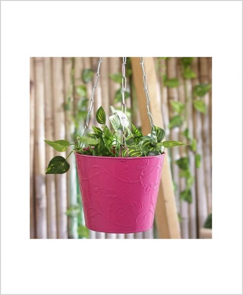 Buy Metal Hanging Bucket Planter Pink