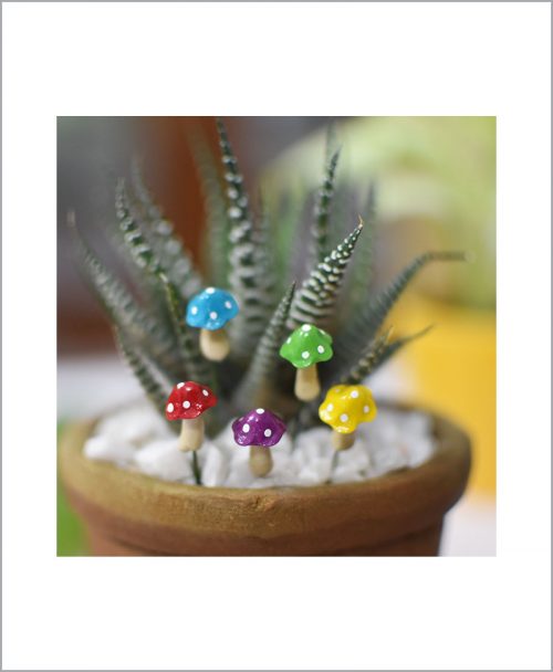 Buy-Set-of-05-Color-Mushroom-Miniature