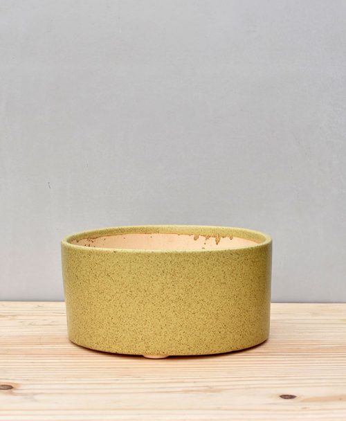 Ceramic Bonsai Tray Round 10 inch Pastel Green 2