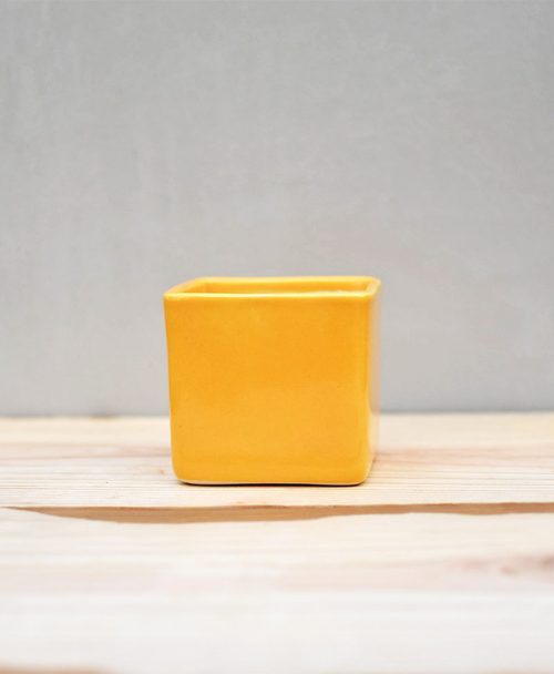 Ceramic Cube Pot 3 inch Mustard Yellow -1