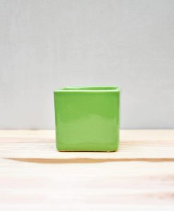 Ceramic Cube Pot 3 inch Parrot Green 1