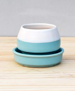 Ceramic Egg Pot 2.5 inch Sky Blue 2