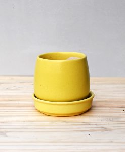 Ceramic Jar Pot 3 inch Pastel Yellow 2