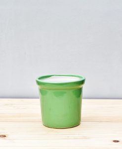 Ceramic Rim Pot 4 inch Parrot Green 1
