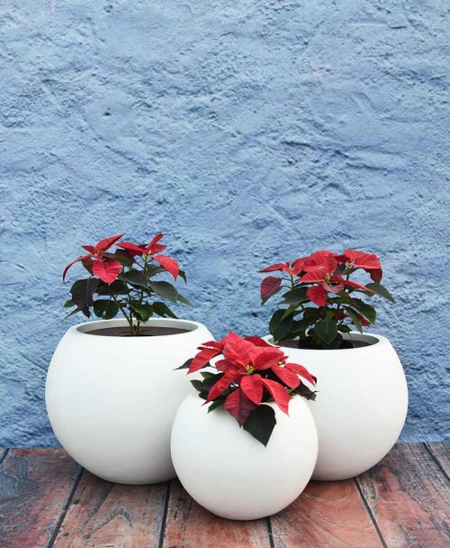 Cluster of Ball Shape Planters