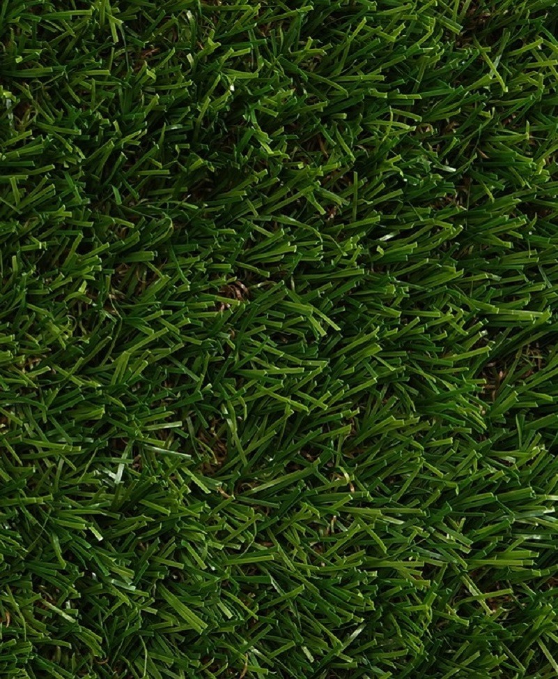 Ebra Royal 25MM Artificial Lawn Grass - Artificial Carpet Grass (Turf Grass 25MM)