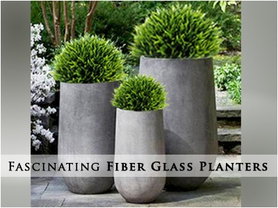Premium Fiber Glass Planters