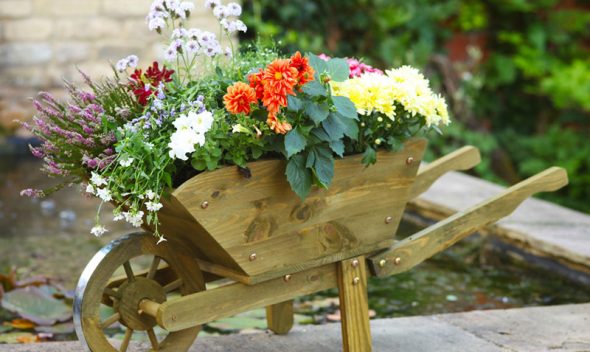 10 amazing ideas for creating garden on wheels