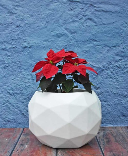 Geometric Shape Polyhedron Planter 18 inch