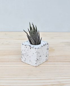 Geometric Concrete Planter Cube Mini