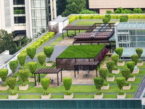 Living Roof India
