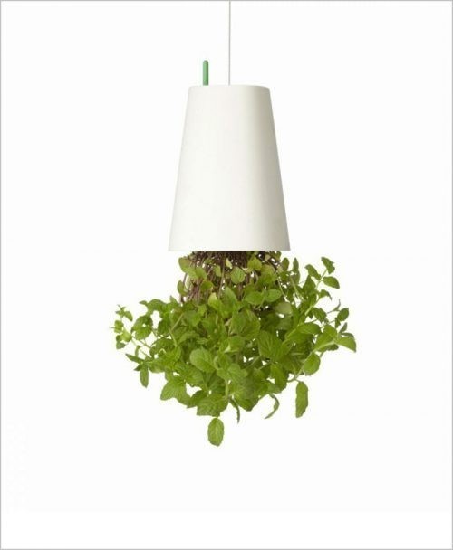 Buy Sky Planter (Inverted Planter - Upside Down Planter) - White Color