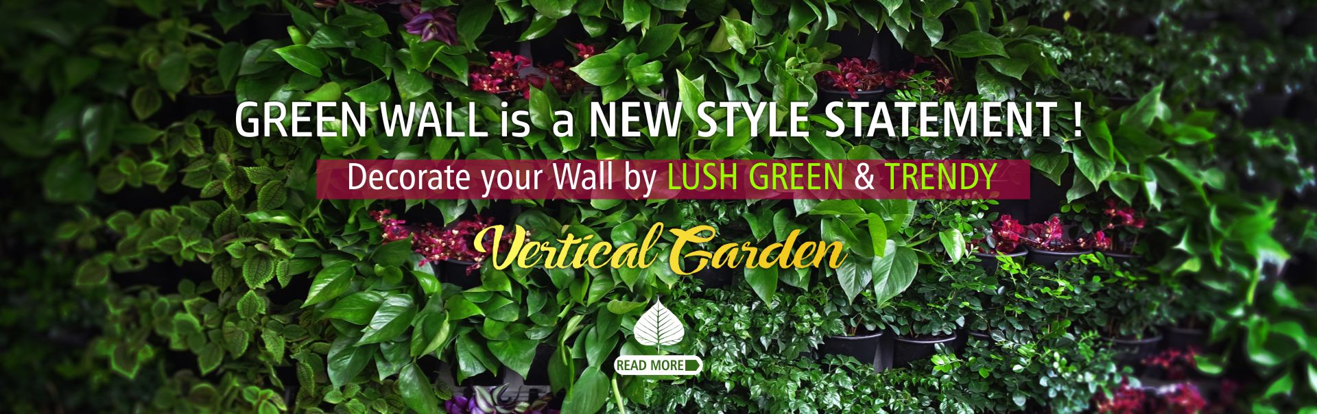 Vertical Garden Green Wall Delhi Gurgaon Noida India