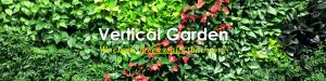 Vertical Garden Services Delhi, Gurgaon, Noida, All over India